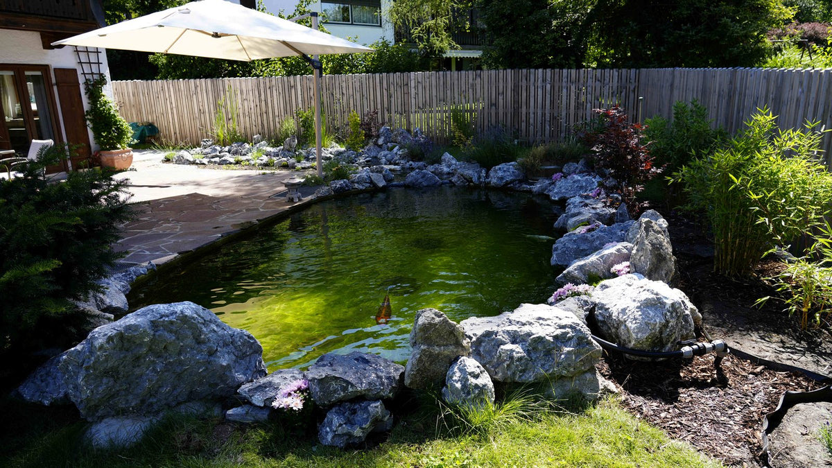 Koiteich mit grünlichem Wasser und Natursteinrand