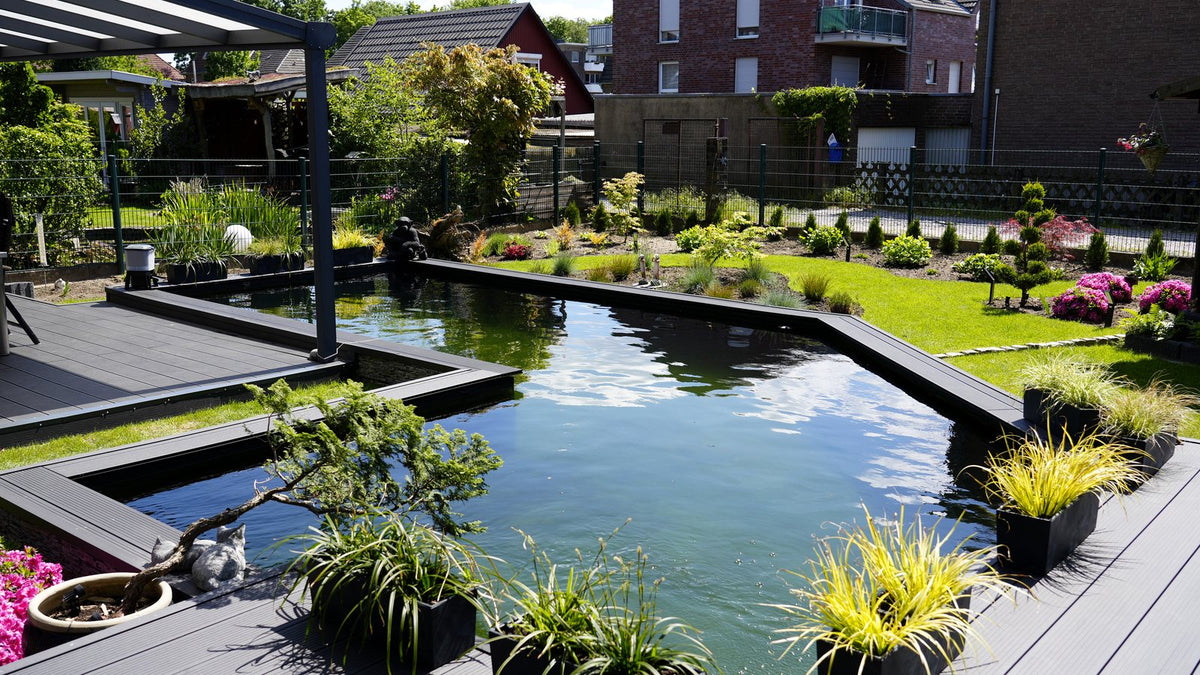 Moderner Koiteich mit großer Wasseroberfläche im Sommer