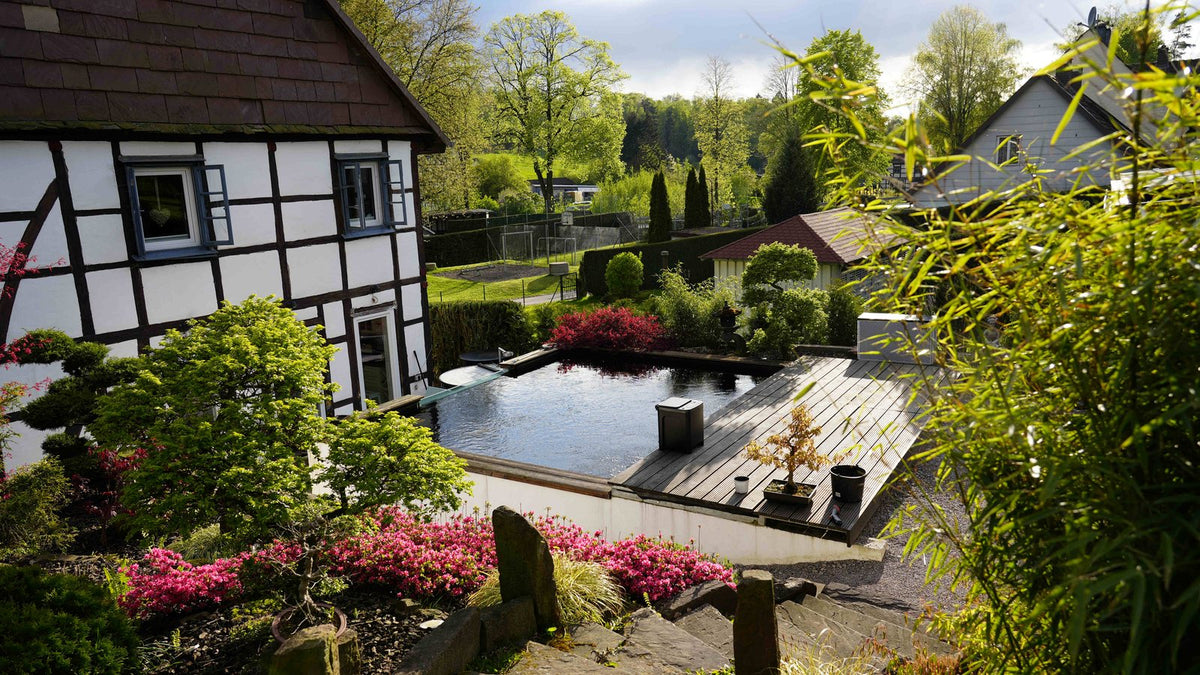 Koiteich in einem bepflanzten Garten mit umliegenden Gehölzen