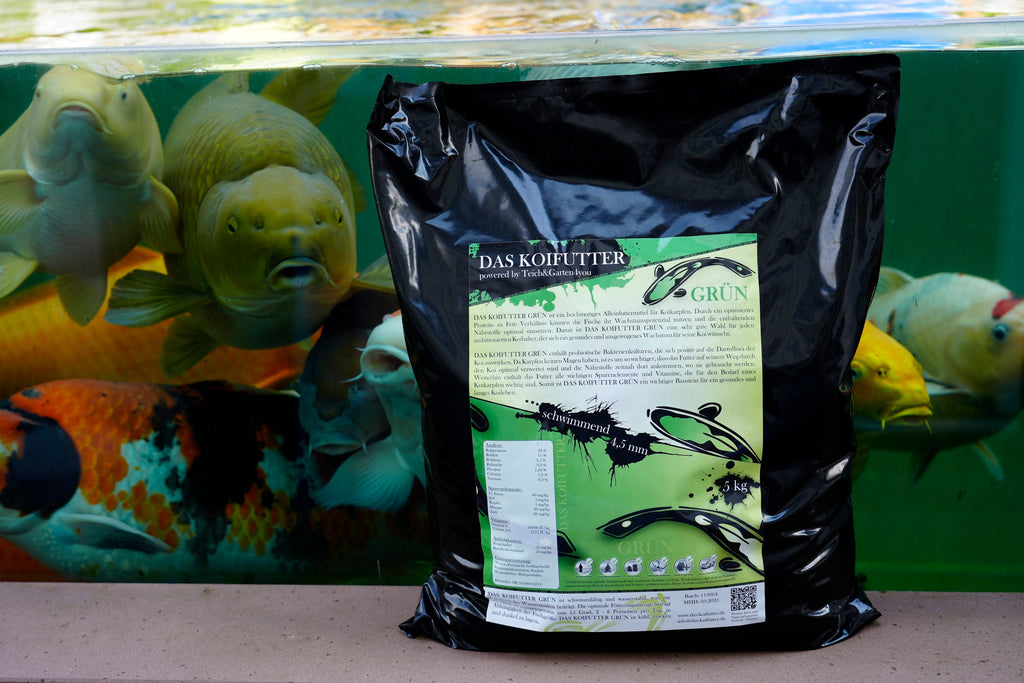 DAS KOIFUTTER GRÜN – 38 Prozent Protein und 11 Prozent Fett
