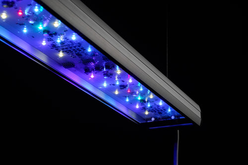 LED-Module der aquaLEDs aquaBAR Gen4 Koi