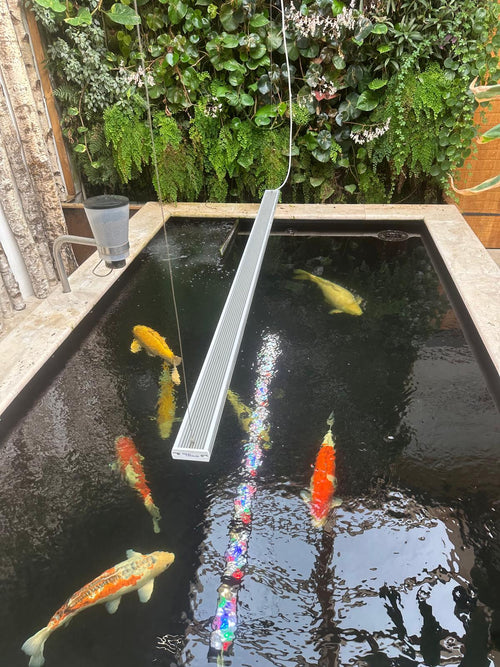 aquaLEDs aquaBAR Gen4 Koi LED-Beleuchtung für Koi-Innenhälterung