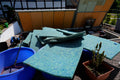 Japanische Filtermatte Original
